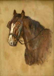 Horse Portrait by James William Booth
