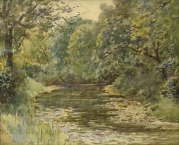 June - view 1