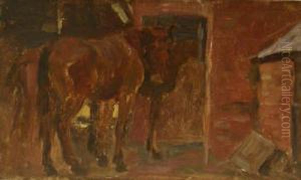 Pony In Stable Setting - view 1
