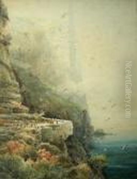 Bempton Cliffs In A Sea Mist - view 1