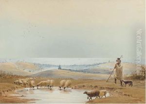 A Shepherd And His Flock On The South Downs Above Brighton