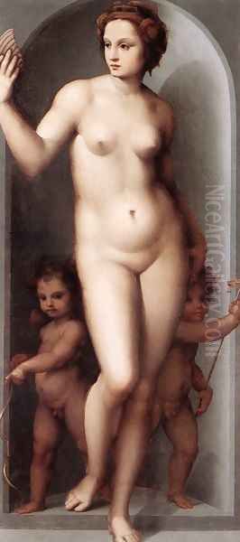 Venus and Two Cupids 1520-25 - view 1