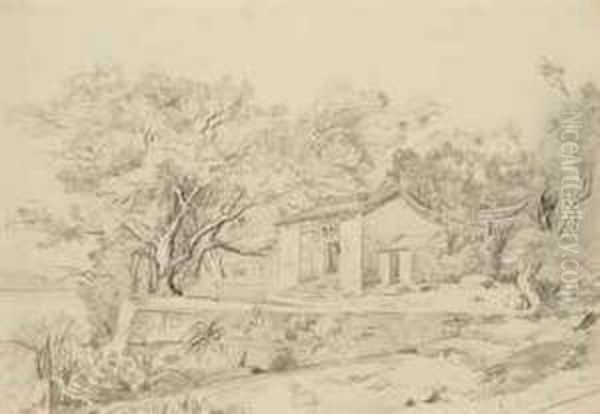 Pagode Entre Les Arbres Dans La Baie De Joss House Pres De Hongkong - view 1