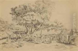 Chinois Discutant Sous Un Arbre Aux Abords D'un Village