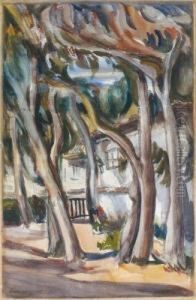 Le Jardin De La Villa Borisella thumbnail