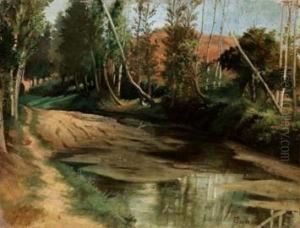 Nel Bosco Nel Bosco