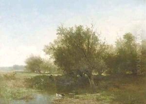 An angler in a summer landscape