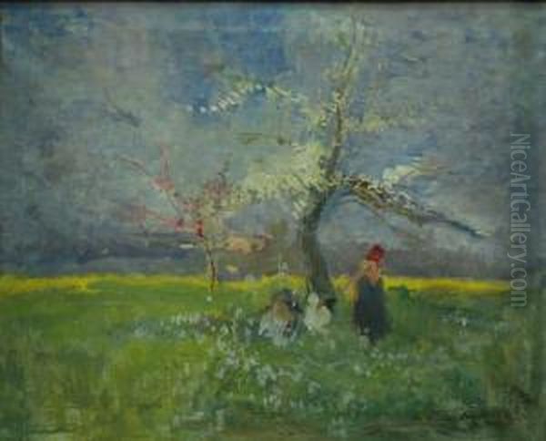 Primavera - Piante Fiorite - view 1