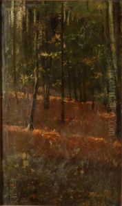 Bosco by Emilio Borsa