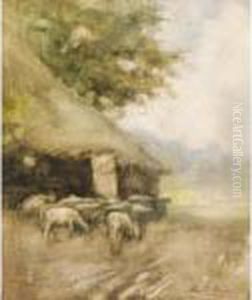 Pecore Al Pascolo by Emilio Borsa