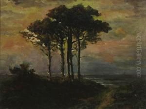 Marina Al Tramonto by Emilio Borsa