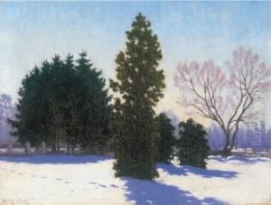 Park In Winter