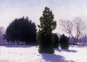 In The Park In Winter
