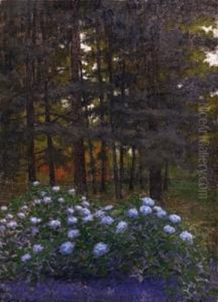 Forest Clearing - view 1