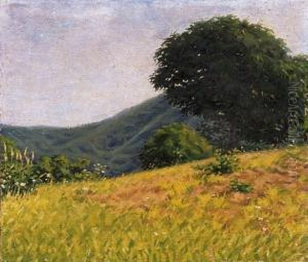 Ridge Of A Hill - view 1