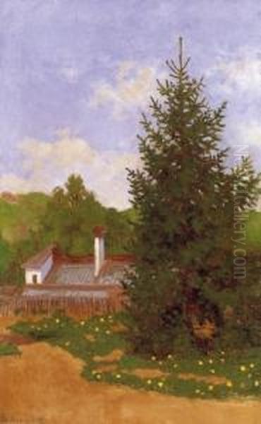 Bulgarian Horticulture In Nagybanya - view 1