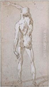 Male Nude Seen From Behind by Andrea Boscoli