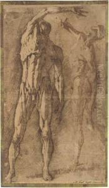 Two Studies Of An Ecorche Figure, After Francavilla - view 1