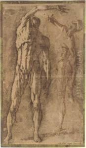 Two Studies Of An Ecorche Figure, After Francavilla by Andrea Boscoli