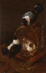 Piccioni by Felice Boselli