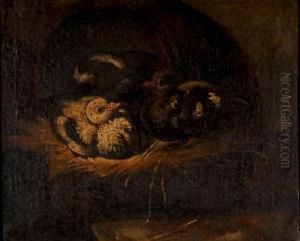 Papere Con Coniglio by Felice Boselli