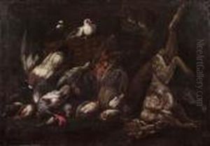 Natura Morta Di Selvaggina