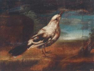 Zwei Vogel Zwei Vogel