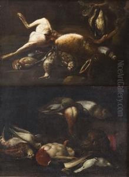 Natura Morta Con Cacciagione E Cane
Natura Morta Con Cacciagione E Lepre - view 1