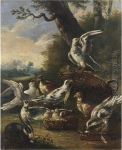La Piccionaia by Felice Boselli