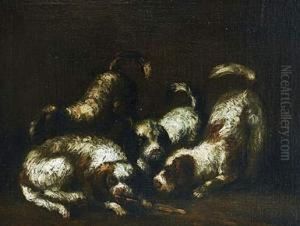 Par De Cuadros De Perros De Agua by Felice Boselli