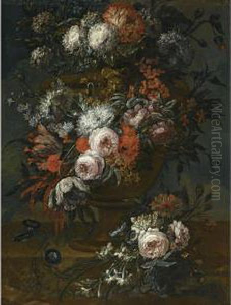 Still Life - view 1