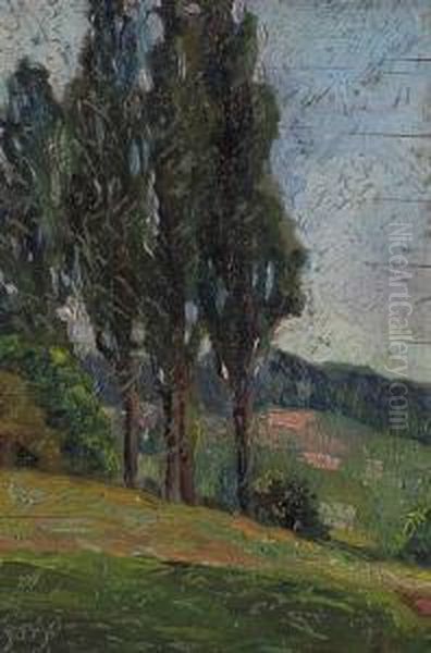 Campagna - view 1