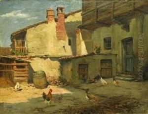 L'aia L'aia