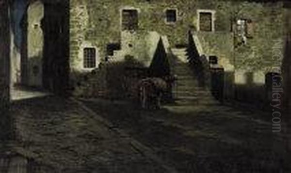 Asino Nel Paese - view 1