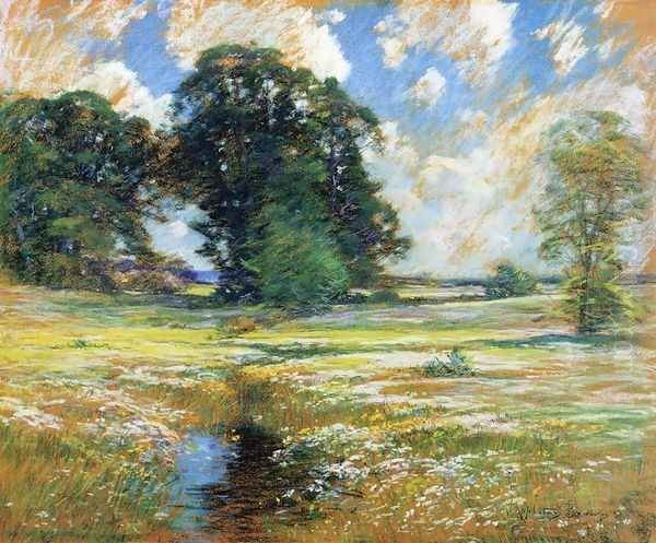 Spring Marshland - view 1