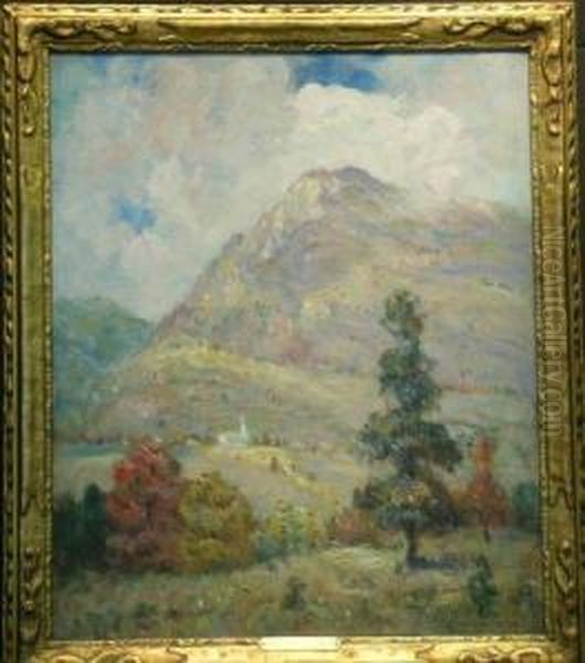 Shadowed Mountain - view 1