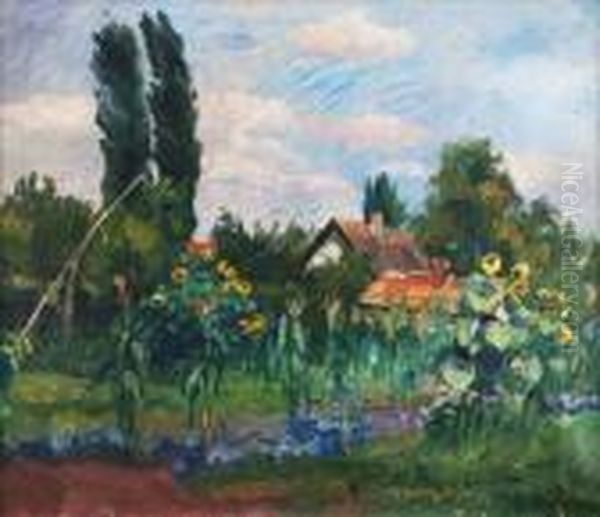 Napraforgos Udvar - view 1