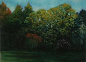 Park by Istvan Stefan Bosznay /