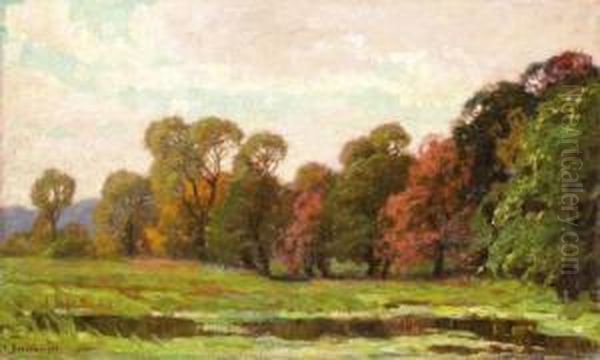 Oszi Taj - view 1