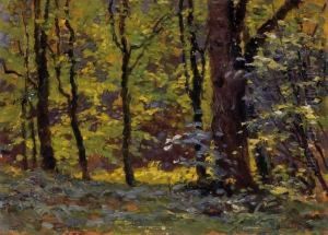 Sunny Forest by Istvan Stefan Bosznay /
