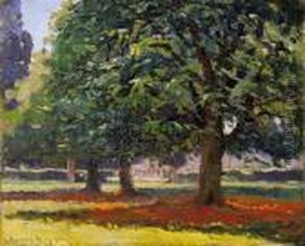 Under Boughs - view 1