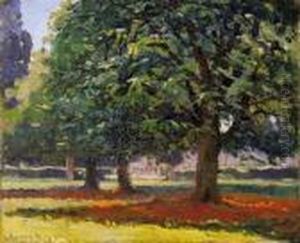 Under Boughs Under Boughs