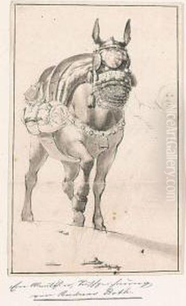 A Mule - view 1
