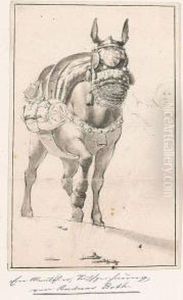 A Mule