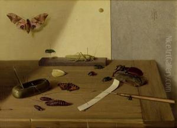 Insekten Und Larven - view 1