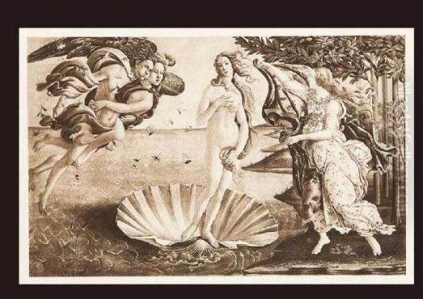 Birth Of Venus - view 1