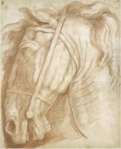 Study Of The Head Of A Horse
