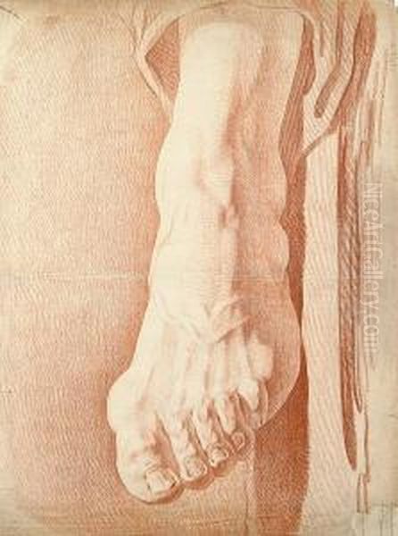 A Study Of A Foot And Ankle - view 1