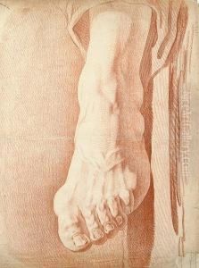 A Study Of A Foot And Ankle by Edme Bouchardon