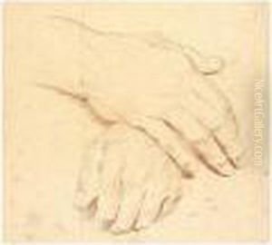 Study Of Hands